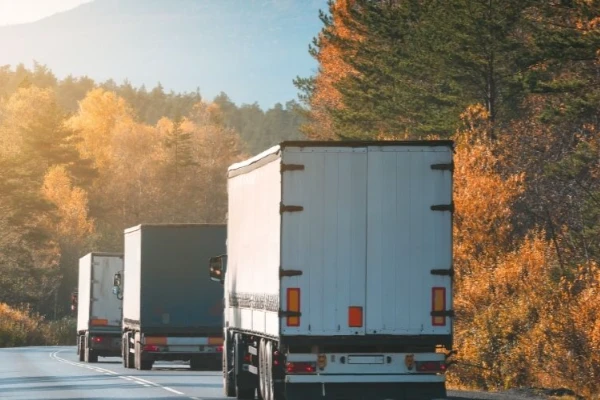 Ankara Gölova Nakliyat